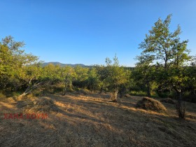 ПАРЦЕЛ, 3 277 m2 - Holmes.bg ПАРЦЕЛ, 3 277 m2