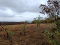 Продава КЪЩА, област Ловеч, с. Карлуково • 23000 € • 44337404 8 — Holmes.bg Продава КЪЩА, област Ловеч, с. Карлуково • 23000 € • 44337404 8