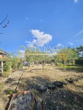 Продава КЪЩА, област Плевен, с. Згалево • 118000 € • 10730822 12 — Holmes.bg Продава КЪЩА, област Плевен, с. Згалево • 118000 € • 10730822 12