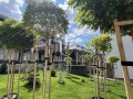 Продава КЪЩА, град София, Бояна • 552000 € • 87371751 7 — Holmes.bg Продава КЪЩА, град София, Бояна • 552000 € • 87371751 7