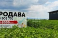 Продава Парцел област София , с. Пролеша , 9003 кв.м | 79699257 — Imoti.com Продава Парцел област София , с. Пролеша , 9003 кв.м | 79699257