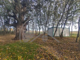 Продава ПАРЦЕЛ | Imot.bg — малка снимка 2