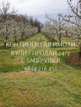 Снимка Продава ЗЕМЕДЕЛСКА ЗЕМЯ