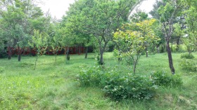 Продава ПАРЦЕЛ | Imot.bg — малка снимка 13