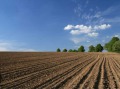 Продава Земеделска земя област Добрич , с. Златия , 11 дка | 57359084 — Imoti.com Продава Земеделска земя област Добрич , с. Златия , 11 дка | 57359084
