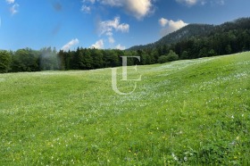 ПАРЦЕЛ, 10 685 m2 - Holmes.bg ПАРЦЕЛ, 10 685 m2