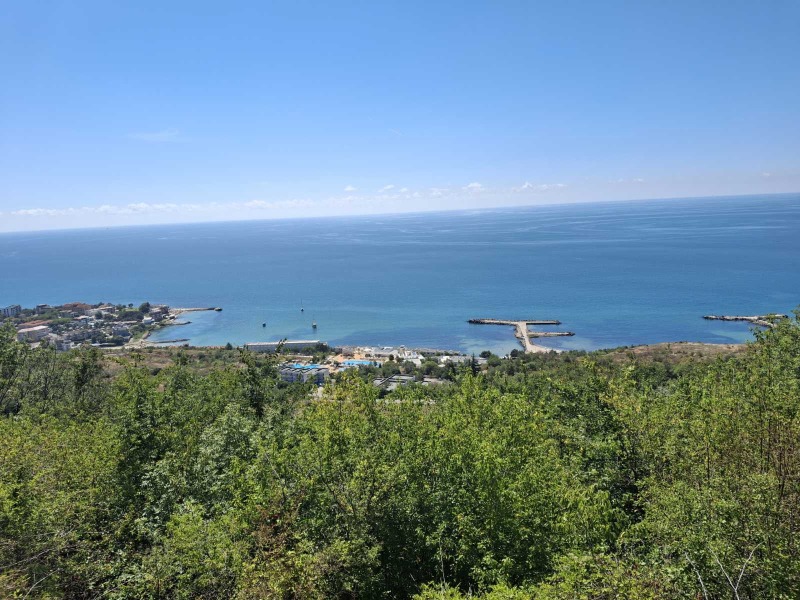 Продава ПАРЦЕЛ, област Добрич, с. Топола • 130800 € / 255822.56 лв. • 92301372 1 — Holmes.bg Продава ПАРЦЕЛ, област Добрич, с. Топола • 130800 € / 255822.56 лв. • 92301372 1