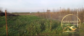 Продава Парцел, с. Радиево