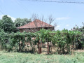 Продава 3-стаен област Плевен , с. Ленково , 860 кв.м | 15657261 — Imoti.com Продава 3-стаен област Плевен , с. Ленково , 860 кв.м | 15657261