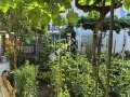 Продава Къща град Ямбол , Каргон , 60 кв.м | 13330860 — Imoti.com Продава Къща град Ямбол , Каргон , 60 кв.м | 13330860