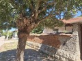 Продава КЪЩА, област Разград, с. Беловец • 19000 € • 12693565 2 — Holmes.bg Продава КЪЩА, област Разград, с. Беловец • 19000 € • 12693565 2