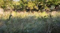 Продава ПАРЦЕЛ, град Варна, м-т Сълзица • 45000 € • 71814209 2 — Holmes.bg Продава ПАРЦЕЛ, град Варна, м-т Сълзица • 45000 € • 71814209 2