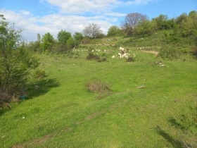 ПАРЦЕЛ, 6 141 m2 - Holmes.bg ПАРЦЕЛ, 6 141 m2