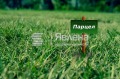 Продава ПАРЦЕЛ, град Варна, м-т Прибой • 79900 € • 96825345 1 — Holmes.bg Продава ПАРЦЕЛ, град Варна, м-т Прибой • 79900 € • 96825345 1