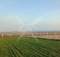 Продава ПАРЦЕЛ, област Бургас, с. Синеморец • 130000 € / 254257.90 лв. • 50665225 1 — Holmes.bg Продава ПАРЦЕЛ, област Бургас, с. Синеморец • 130000 € / 254257.90 лв. • 50665225 1