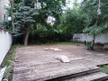 Дава под наем Заведение град София , Център , 570 кв.м | 74680558 — Imoti.com Дава под наем Заведение град София , Център , 570 кв.м | 74680558