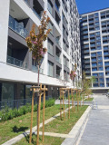 Под наем 2-СТАЕН, град София, Банишора • 600 € • 34969949 1 — Holmes.bg Под наем 2-СТАЕН, град София, Банишора • 600 € • 34969949 1