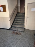 Под наем 2-СТАЕН, град София, Разсадника • 400 € • 55081653 10 — Holmes.bg Под наем 2-СТАЕН, град София, Разсадника • 400 € • 55081653 10