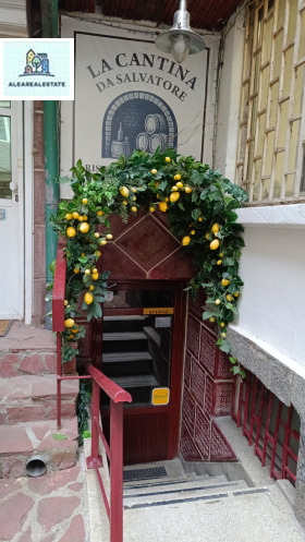 ЗАВЕДЕНИЕ, 85 m2 - Holmes.bg ЗАВЕДЕНИЕ, 85 m2