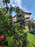 Дава под наем Етаж от къща град София , с. Казичене , 70 кв.м | 33949791 — Imoti.com Дава под наем Етаж от къща град София , с. Казичене , 70 кв.м | 33949791