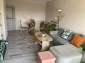 Дава под наем 3-стаен град Варна , Трошево , 64 кв.м | 36740485 — Imoti.com Дава под наем 3-стаен град Варна , Трошево , 64 кв.м | 36740485