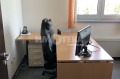 Под наем ОФИС, град София, Полигона • 1300 € • 52320068 3 — Holmes.bg Под наем ОФИС, град София, Полигона • 1300 € • 52320068 3