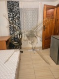 Под наем ЕТАЖ ОТ КЪЩА, град Варна, Трошево • 180 € • 90849509 2 — Holmes.bg Под наем ЕТАЖ ОТ КЪЩА, град Варна, Трошево • 180 € • 90849509 2