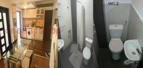 Дава под наем Стая, град София