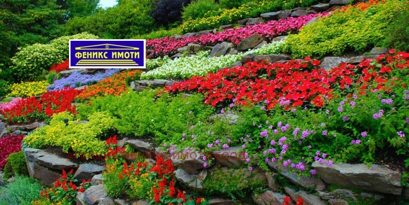 Под наем 1-СТАЕН, град Кюстендил, Център • 250 € • 51960742 1 — Holmes.bg Под наем 1-СТАЕН, град Кюстендил, Център • 250 € • 51960742 1