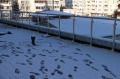 Под наем 2-СТАЕН, град София, Младост 4 • 499 € • 47421715 11 — Holmes.bg Под наем 2-СТАЕН, град София, Младост 4 • 499 € • 47421715 11