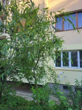 1 спальня Лозенец, София