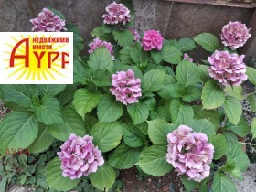 ������� 3-����� | Imot.bg � ����� ������ 17
