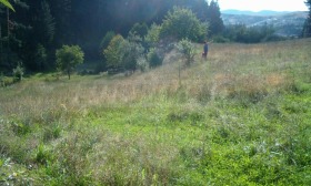 ������� ������ | Imot.bg � ����� ������ 5