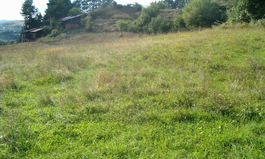 Продава ПАРЦЕЛ, с. Елешница, област Благоевград, снимка 6 - Парцели - 54132722