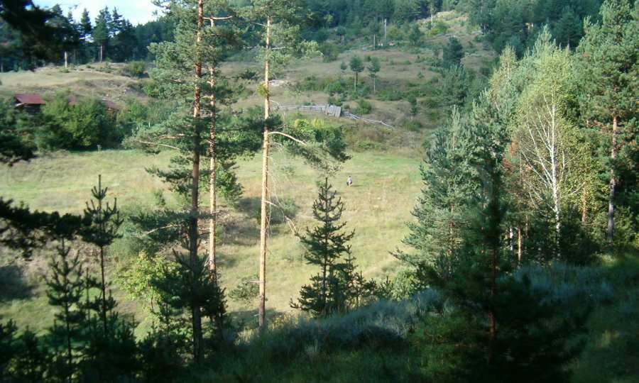 Продава ПАРЦЕЛ, с. Елешница, област Благоевград, снимка 3 - Парцели - 54132722