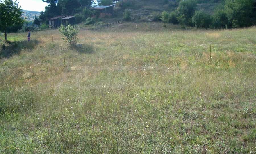 Продава ПАРЦЕЛ, с. Елешница, област Благоевград, снимка 4 - Парцели - 54132722