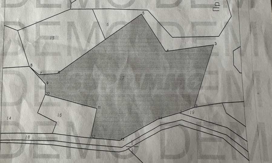 Продава ПАРЦЕЛ, с. Елешница, област Благоевград, снимка 11 - Парцели - 54132722