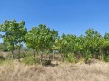 Продава ЗЕМЕДЕЛСКА ЗЕМЯ, с. Злати войвода, област Сливен, снимка 2