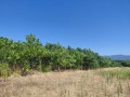 Продава ЗЕМЕДЕЛСКА ЗЕМЯ, с. Злати войвода, област Сливен, снимка 1