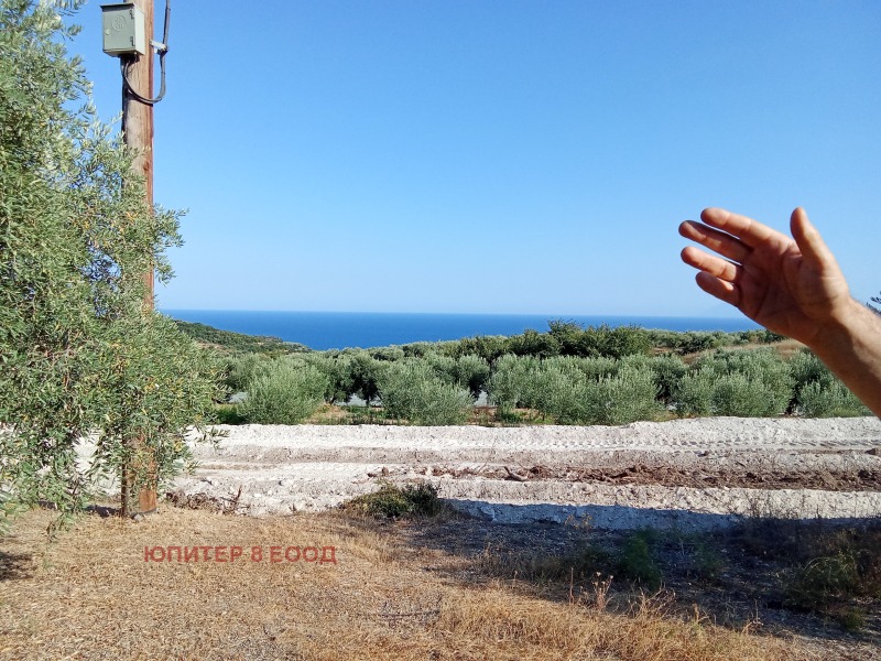 Продава БИЗНЕС ИМОТ, Извън страната, област Извън страната, снимка 16 - Други - 52538419