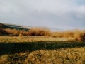 Продава  Парцел област Варна , с. Кичево , 4260 кв.м | 75673906