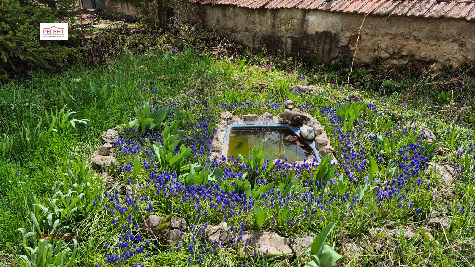 ������� ���� | Imot.bg � ����������� 15