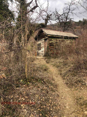 Парцел с. Бачково, област Пловдив 1