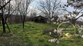 Продава КЪЩА, с. Зетьово, област Стара Загора, снимка 5