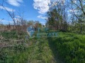 Продава ПАРЦЕЛ, област Велико Търново, с. Страхилово • 15000 лв. • 77019758 — Holmes.bg