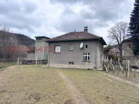 ������ ������� ����