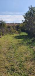 Продава ПАРЦЕЛ, с. Писанец, област Русе, снимка 3