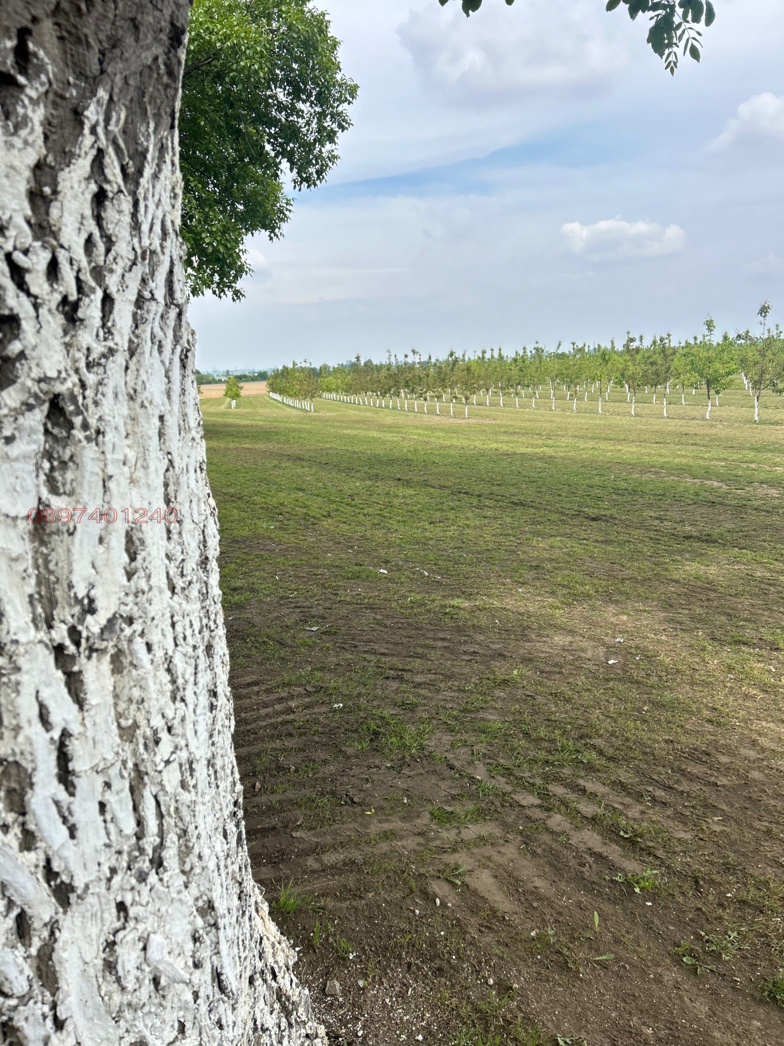 ������� ���������� ���� | Imot.bg � ����������� 6