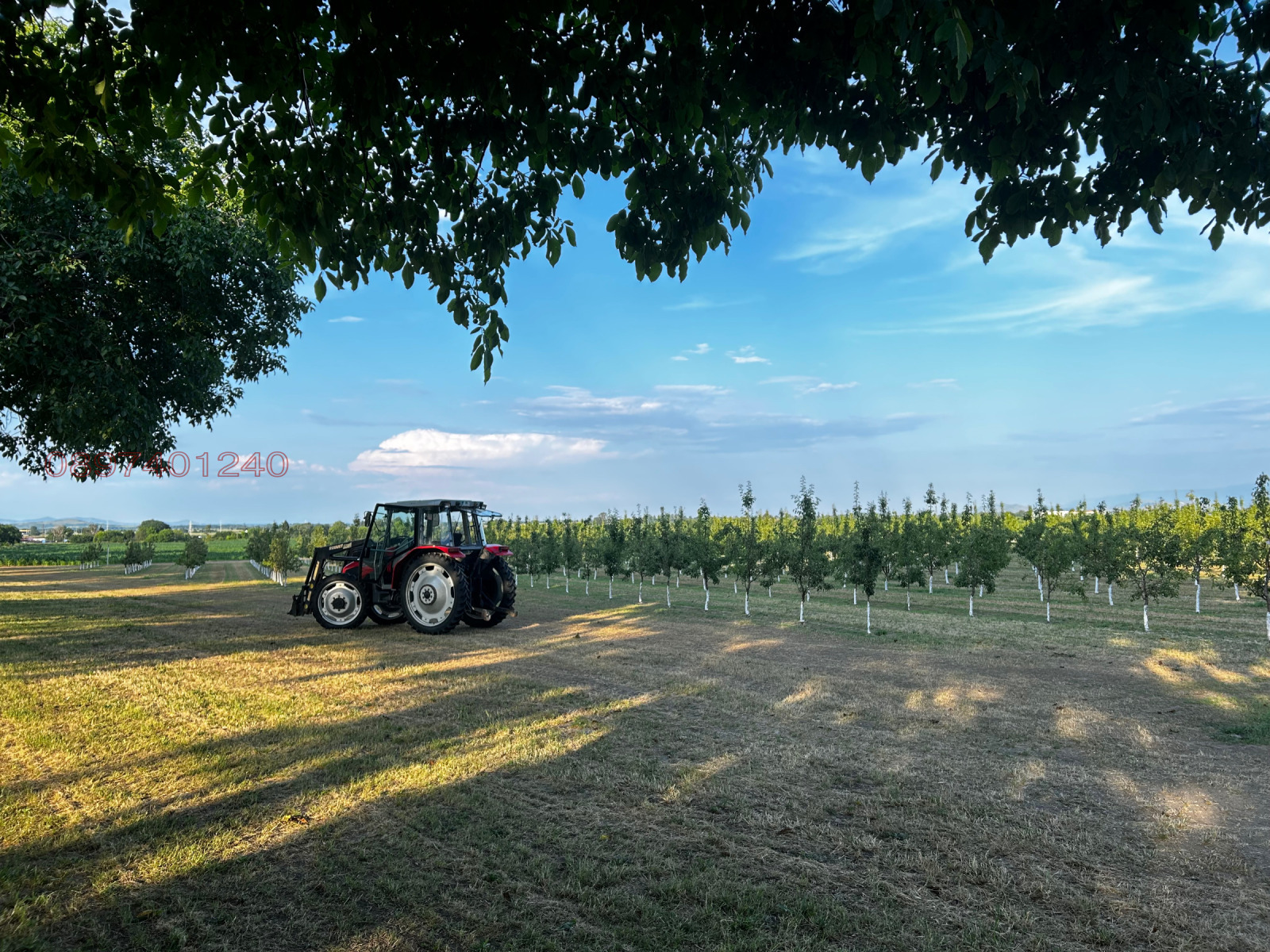 ������� ���������� ���� | Imot.bg � ����������� 8