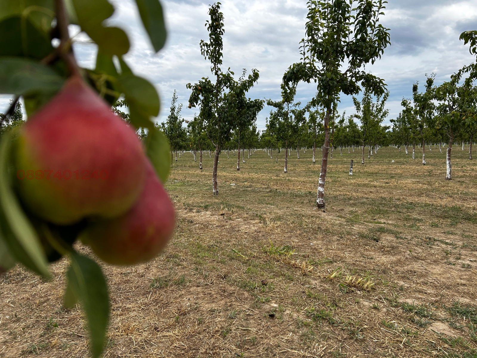 ������� ���������� ���� | Imot.bg � ����������� 12